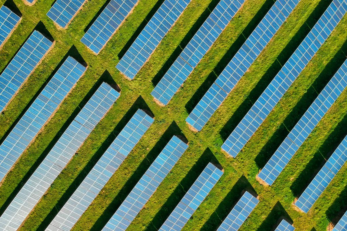 Unterstützung der globalen IP-Strategie eines Green-Tech-Startups